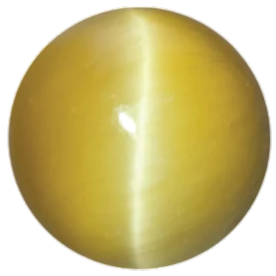 Cat's Eye
